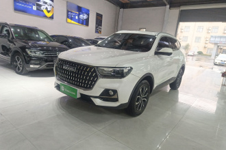哈弗H6 2023款 国潮版 1.5T 自动都市版