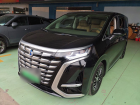 腾势D9 2022款 DM-i 1040 尊贵型