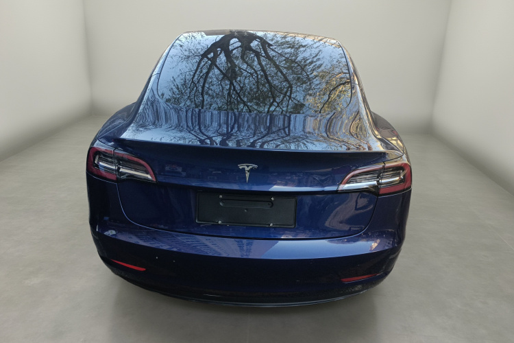 特斯拉 Model 3(进口) 2019款 标准续航后驱升级版(52度)车身外观6