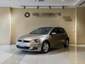 大众 高尔夫 2016款 1.6L 自动舒适型