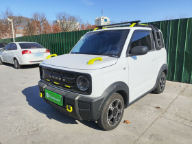 吉利银河 2024款 200km 熊猫骑士