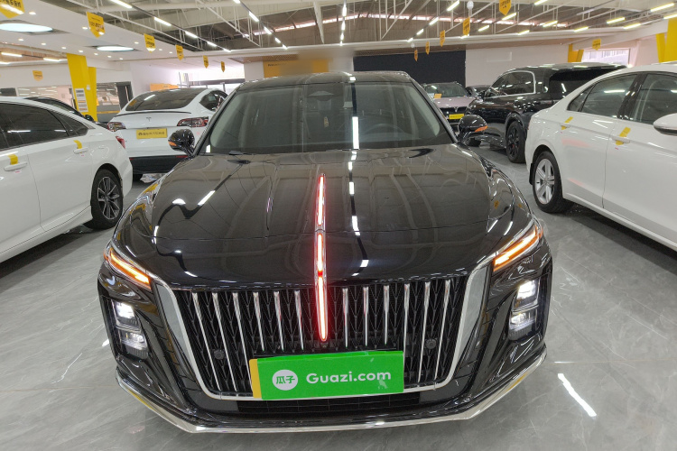 红旗H5 2023款 2.0T 自动智联旗畅版车身外观6001