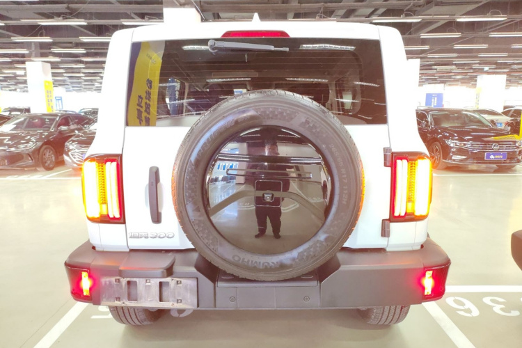 坦克300 2024款 2.0T 征服者车身外观6004