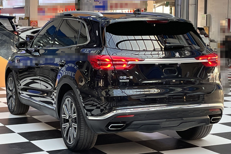 红旗HS5 2022款 2.0T 智联旗领四驱版车身外观6005