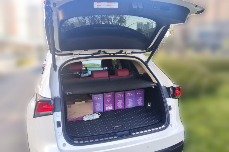 雷克萨斯NX 2020款 300 前驱 锋行版 国V中控内饰23