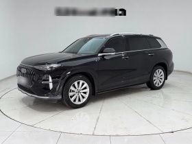 奥迪Q6 2024款 45 TFSI quattro 齐云型 羽林套装 7座