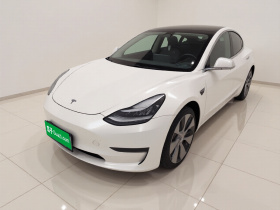 特斯拉 Model 3(进口) 2019款 Performance高性能全轮驱动版