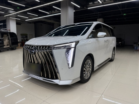 广汽传祺 传祺M8 2024款 宗师系列 400T 至尊版