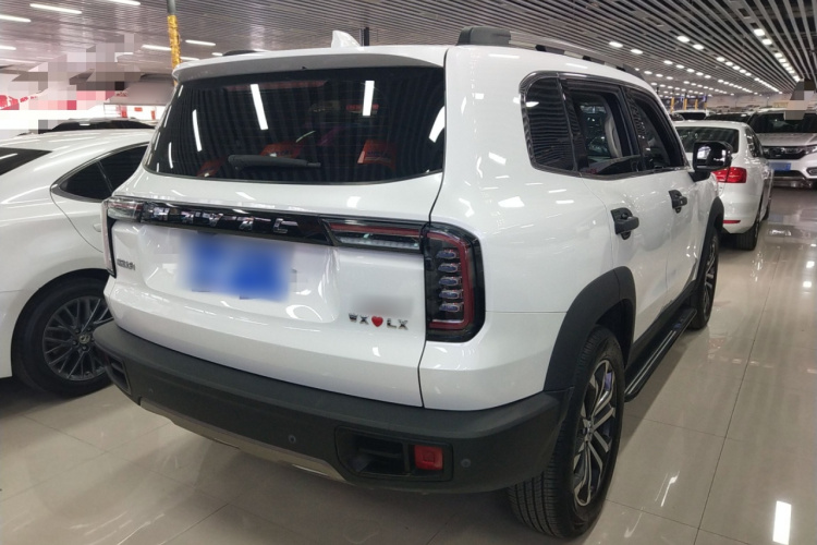 哈弗大狗 2022款 1.5T DCT两驱边牧版车身外观7