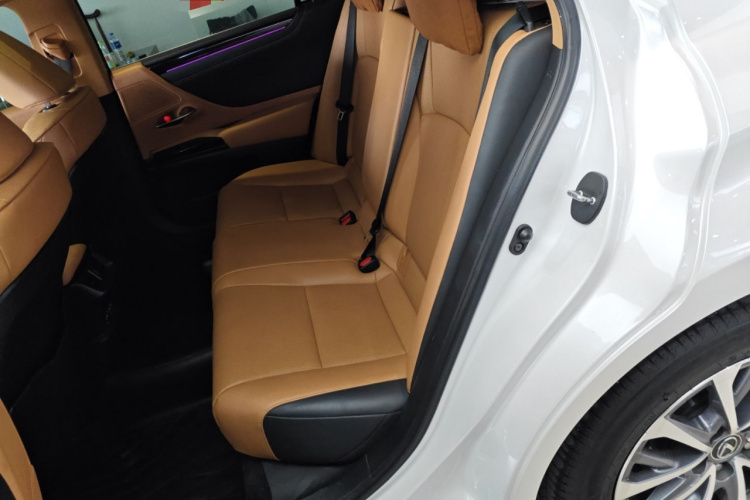 雷克萨斯ES 2022款 260 卓越版中控内饰7004