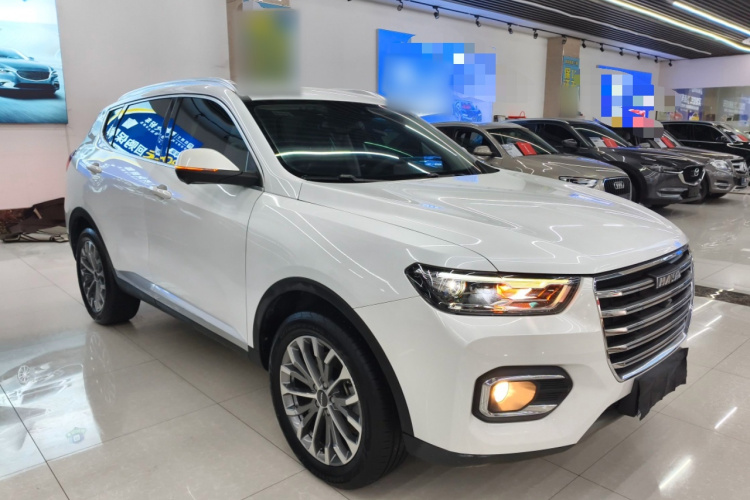 哈弗H6 2020款 2.0GDIT 自动铂金冠军版车身外观3
