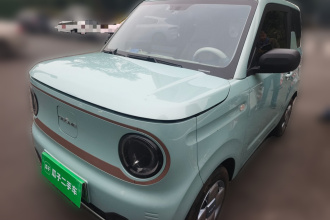 吉利银河 2023款 熊猫mini 200km 耐力熊
