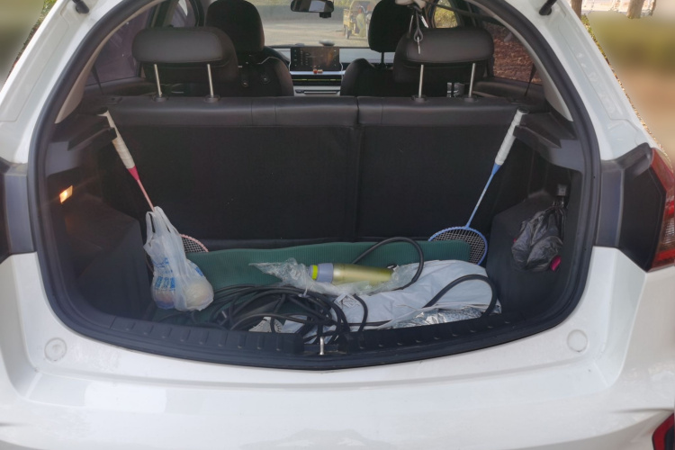 吉利几何 EX3 功夫牛 2021款 坚强牛牛中控内饰23