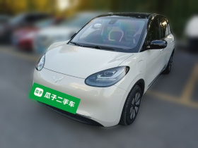 五菱汽车 五菱缤果 2023款 333km 灵犀互联+款