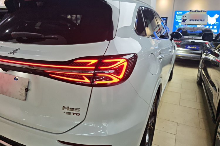 红旗HS5 2023款 2.0T 旗享Pro版车身外观9