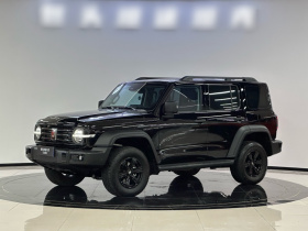 坦克300 2025款 2.4T 柴油版