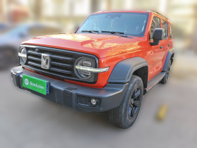 坦克300 2021款 越野版 2.0T 征服者