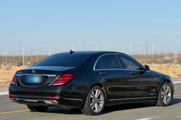 奔驰S级 2019款 S 350 L 豪华型 臻藏版车身外观6001