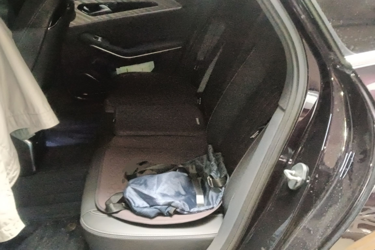 红旗H9 2022款 2.0T 智联旗享版中控内饰21