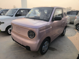 吉利银河 2024款 熊猫mini 200km 耐力熊