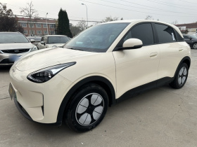 吉利银河 星愿 2025款 310km 青春版