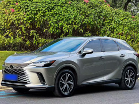 雷克萨斯RX 2023款 350h 两驱悦享版