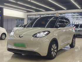 五菱汽车 五菱缤果 2023款 333km 灵犀互联+款