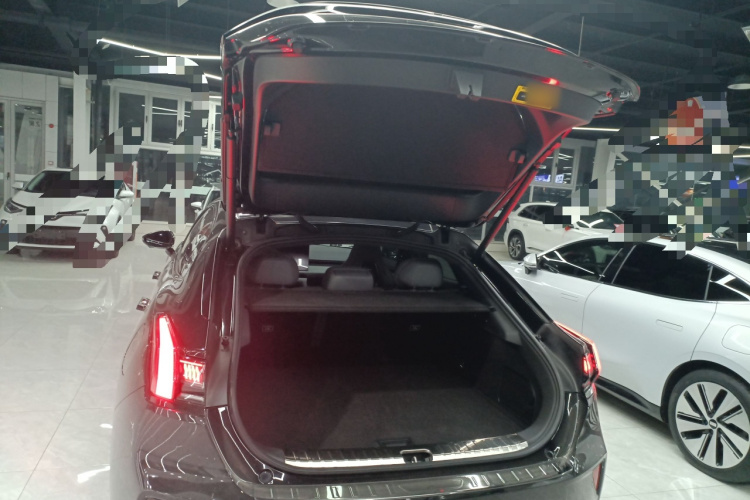 极氪001 2025款 WE版 100kWh 后驱局部细节23