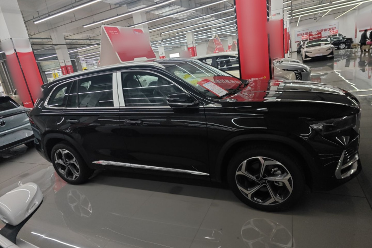 吉利汽车 星越L 2024款 2.0TD DCT EVO两驱长风版车身外观6002