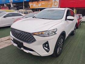 哈弗F7 2020款 2.0T 四驱i悦