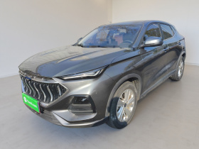 长安欧尚X5 2021款 1.6L CVT尊贵型