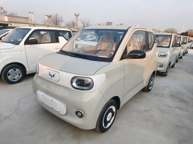 五菱汽车 宏光MINIEV 2024款 第三代 215km 青春版