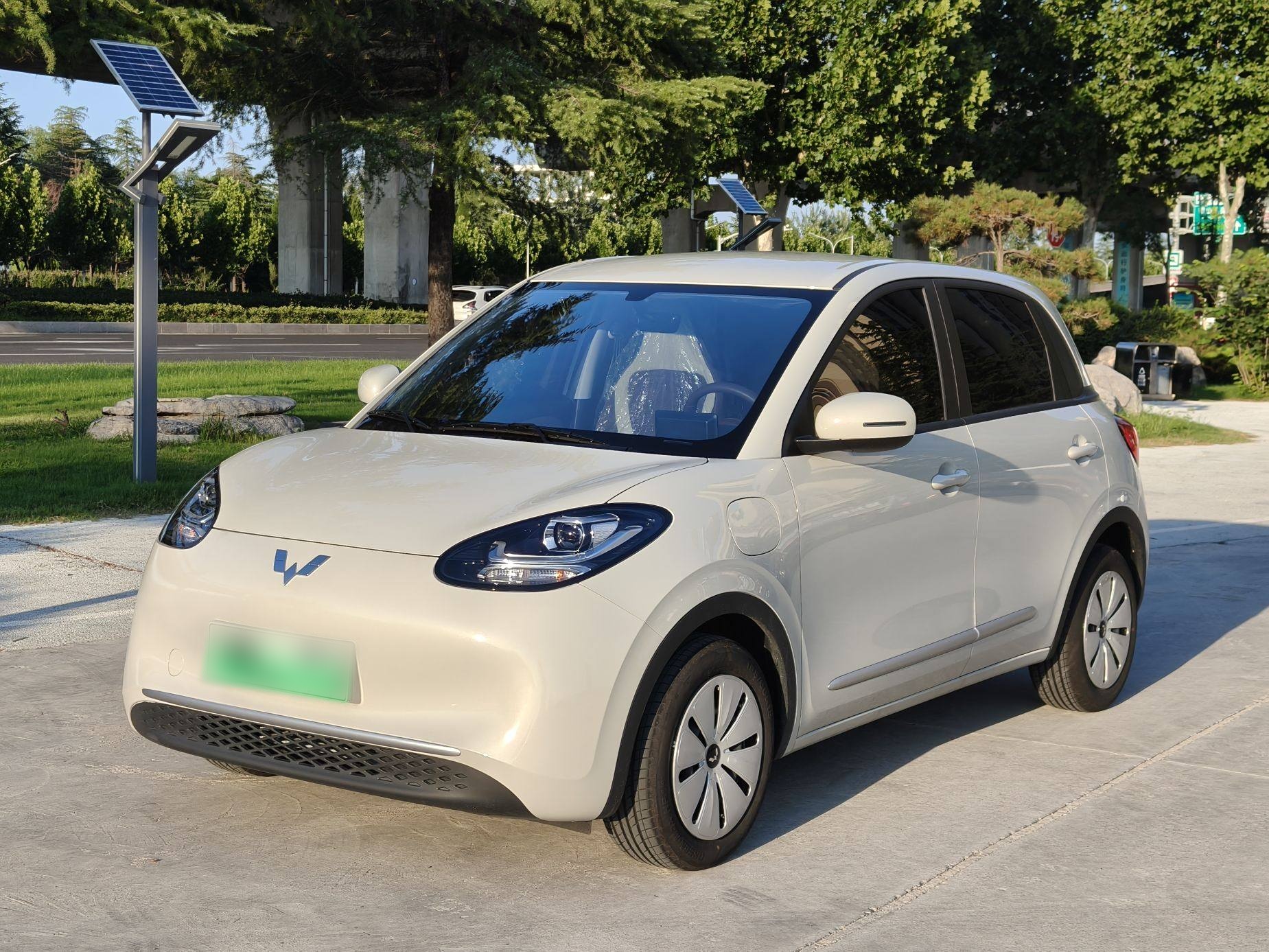 五菱汽车 五菱缤果 2025款 203km 轻享款