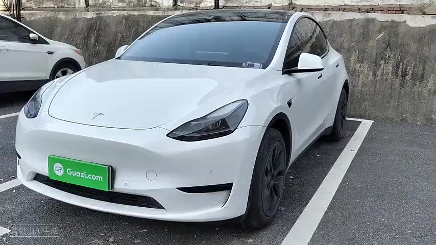 特斯拉 Model Y 2023款 后轮驱动版检测视频1