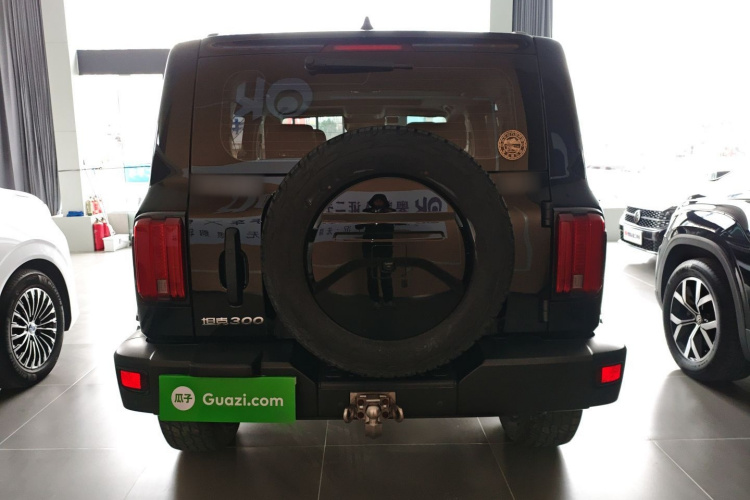 坦克300 2021款 越野版 2.0T 征服者车身外观6004