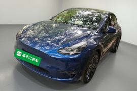 特斯拉 Model Y 2021款 Performance高性能全轮驱动版