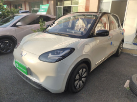 五菱汽车 五菱缤果 2025款 333km 悦享款