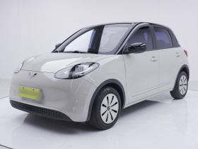 五菱汽车 五菱缤果 2023款 203km 轻享款