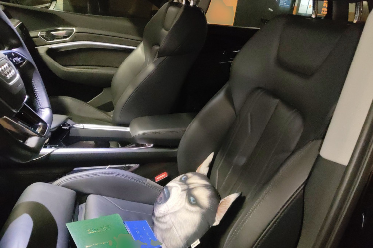 奥迪e-tron(进口) 2019款 55 quattro 技术型中控内饰19