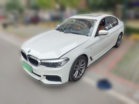 宝马5系(进口) 2019款 525i M运动套装