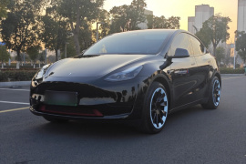 特斯拉 Model Y 2022款 后轮驱动版