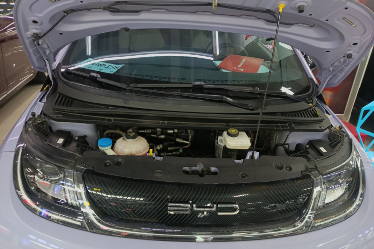 比亚迪 海豚 2023款 420km 时尚版机舱底盘24