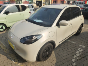 五菱汽车 五菱缤果 2023款 333km 灵犀互联+款