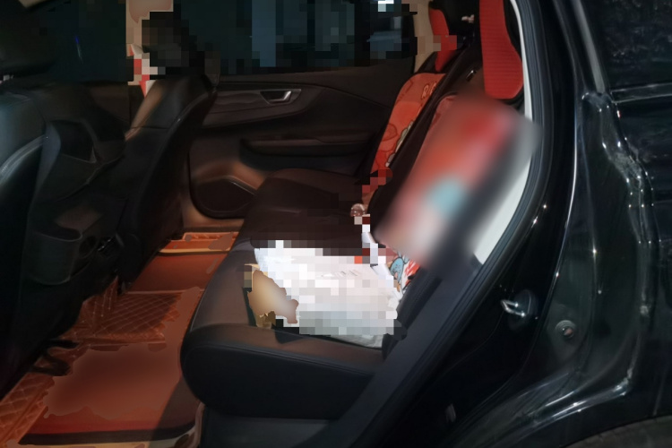 红旗E-QM5 2023款 改款 基础出行版中控内饰21