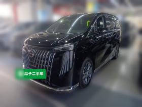 广汽传祺 传祺M8 2024款 大师系列 400T 尊贵版