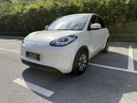 五菱汽车 五菱缤果 2023款 333km 快享款