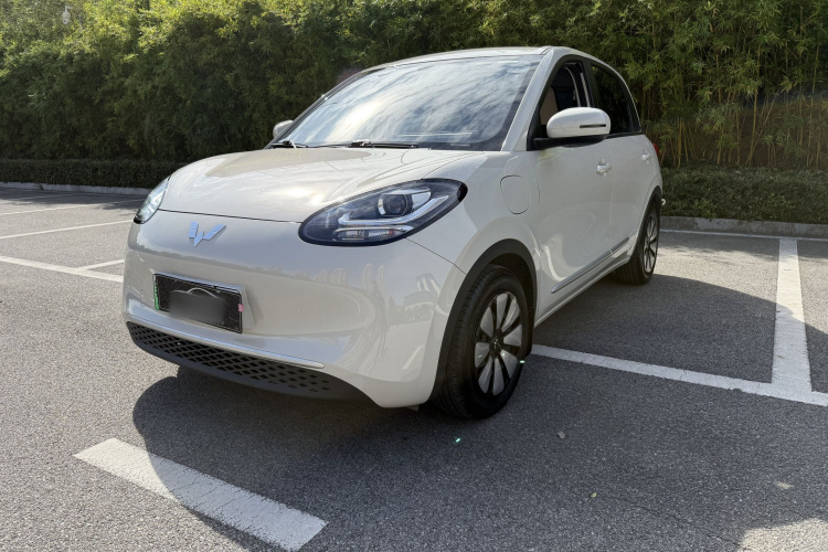 五菱汽车 五菱缤果 2023款 333km 快享款车身外观1