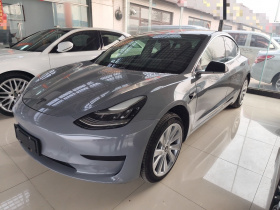特斯拉 Model 3 2019款 标准续航后驱升级版