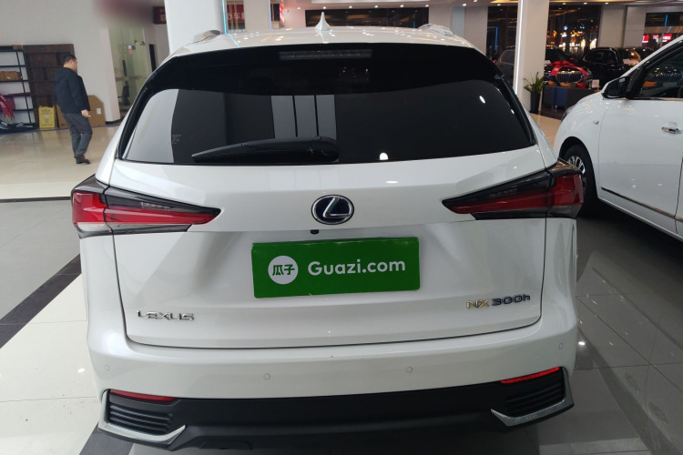 雷克萨斯NX 2020款 300h 前驱 锋尚版 国VI车身外观6