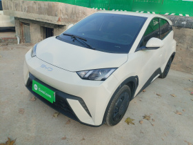 比亚迪 海鸥 2025款 305km 活力版